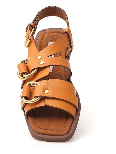 Shop Stella Mccartney Buckled Strap Sandals In Brown