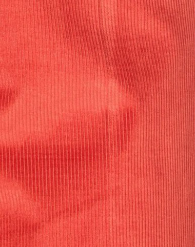 Shop Pt01 Pt Torino Woman Pants Red Size 6 Cotton, Viscose, Elastane