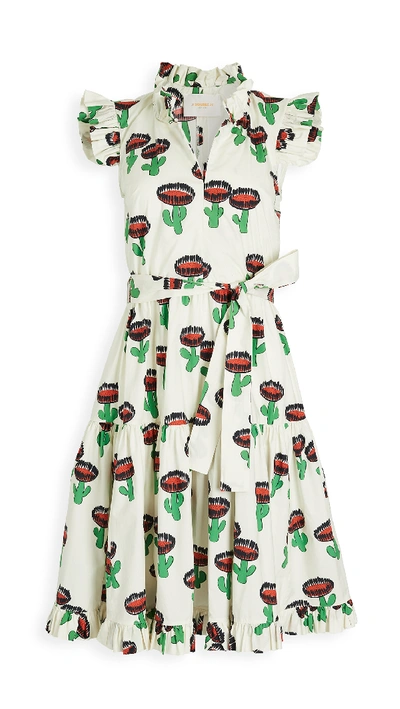 Shop La Doublej Short And Sassy Dress In Chirpy Cactus