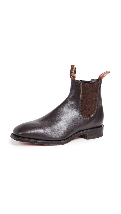 Shop R.m.williams R. M. Williams Classic Rm Leather Chelsea Boots Chestnut