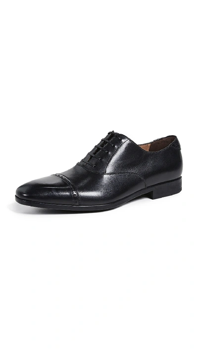 Shop Ferragamo Boston Cap Toe Lace Up Shoes In Black