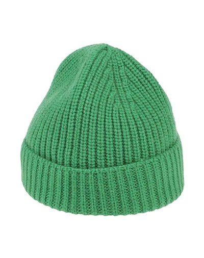 Shop Cruciani Hat In Green
