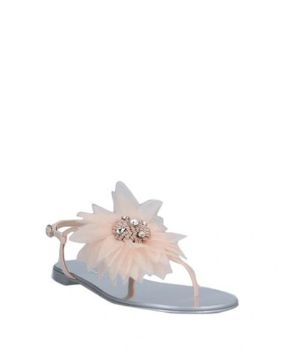 Shop Giuseppe Zanotti Toe Strap Sandals In Light Pink