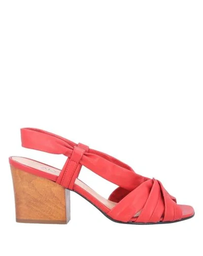 Shop Alysi Sandals In Red