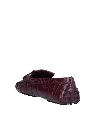 Tod's Loafers In Purple