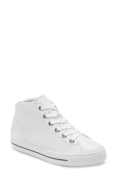 paul green high tops