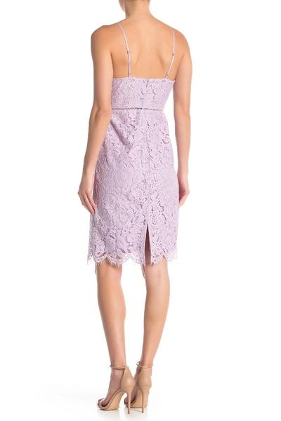 Shop Astr Lace V-neck Sheath Dress In Lilac