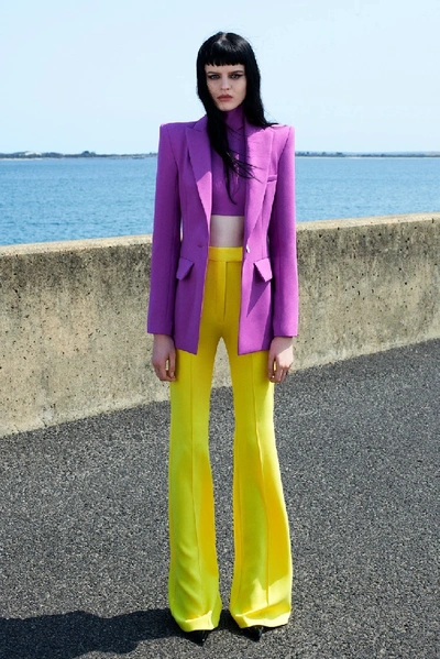 Shop Alex Perry Long Sleeve Blazer, Crop Top And Flare Pant