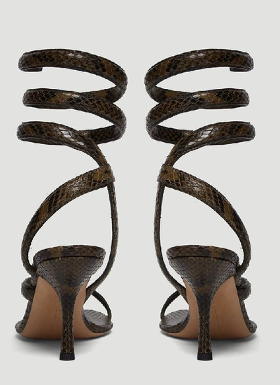 Shop Bottega Veneta Spiral Strap Sandals In Brown