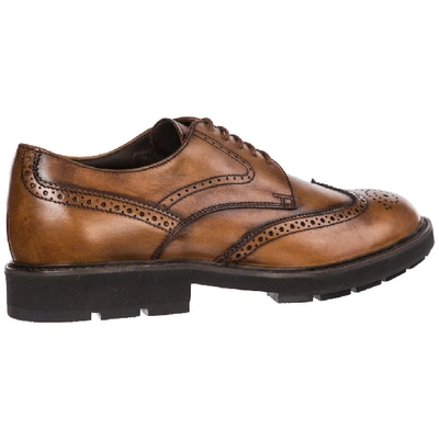 Shop Tod's Brogue Lace In Brown