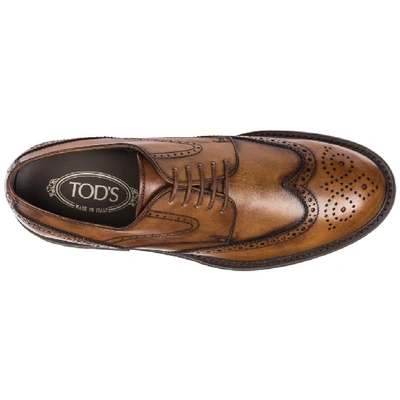 Shop Tod's Brogue Lace In Brown
