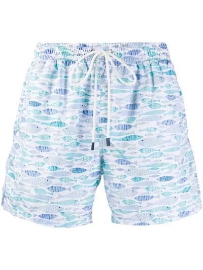 Shop Fedeli Badeshorts Mit Fisch-print In Green