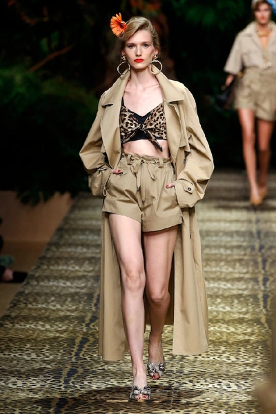 Shop Dolce & Gabbana Tailored Cotton Shorts In Beige