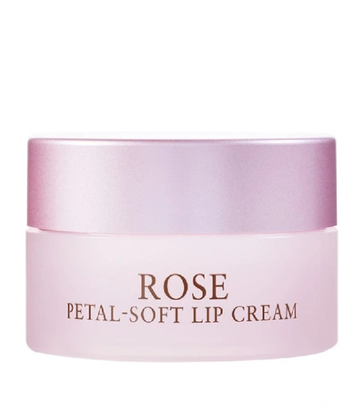 Shop Fresh Rose Petal Soft Lip Cream (20g) In White
