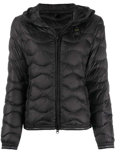 Shop Blauer Lightweight Padded Jacket In Black