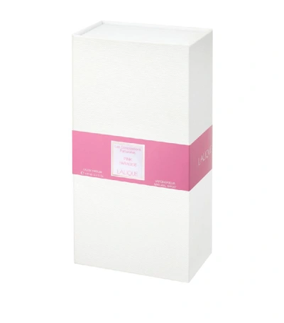 Shop Lalique Pink Paradise Eau De Parfum In White