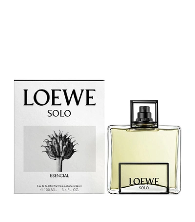 Shop Loewe Solo Esencial Eau De Toilette In White