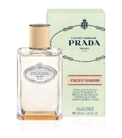 Shop Prada Infusion D'oranger Eau De Parfum In White