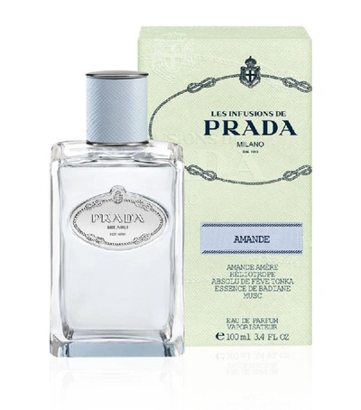 Shop Prada Infusion D'amande Eau De Parfum (100ml) In White