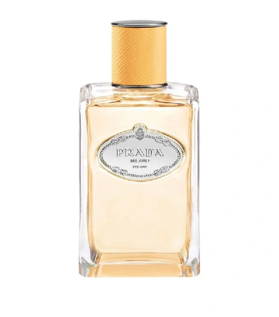 Shop Prada Infusion Mandarine Eau De Parfum (100ml) In White