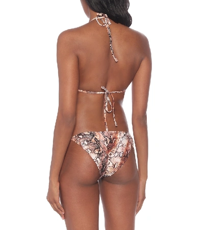 Shop Melissa Odabash Cancun Snake-print Bikini Bottoms In Brown