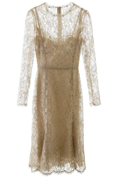 Shop Dolce & Gabbana Lace Midi Dress In Gold