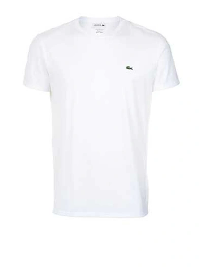 Shop Lacoste White Embroidered Logo T-shirt