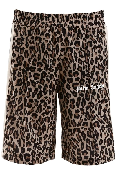 Shop Palm Angels Leopard Short Trackpants In Beige,black
