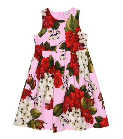 Shop Dolce & Gabbana Floral Stretch-cotton Dress In Pink