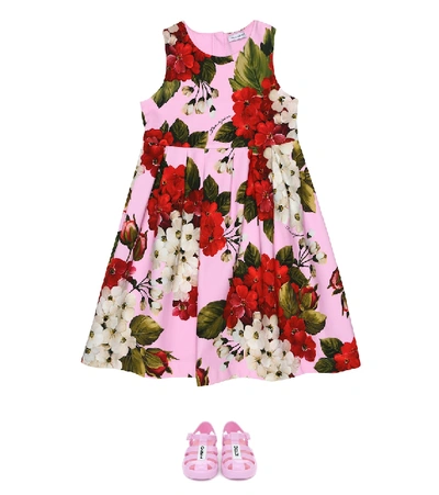 Shop Dolce & Gabbana Floral Stretch-cotton Dress In Pink