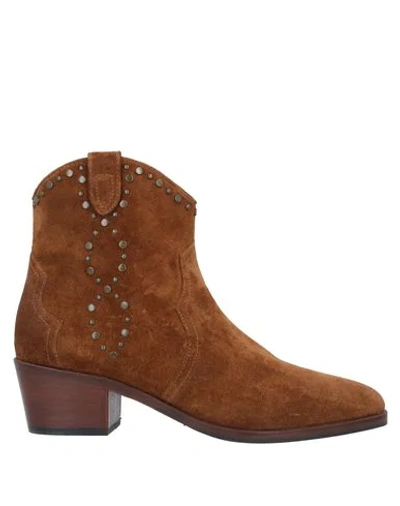Shop Bruno Premi Ankle Boot In Brown