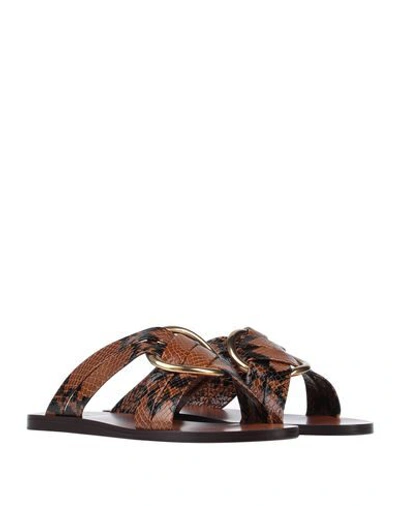 Shop Chloé Sandals In Brown