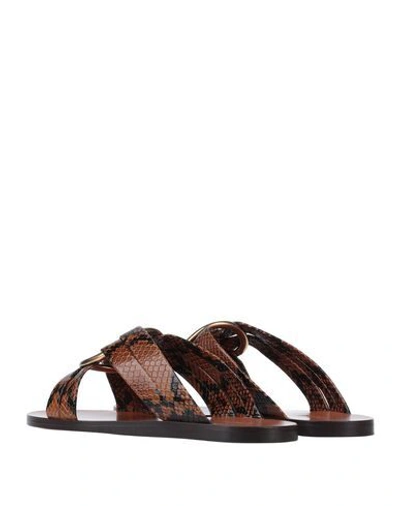 Shop Chloé Sandals In Brown