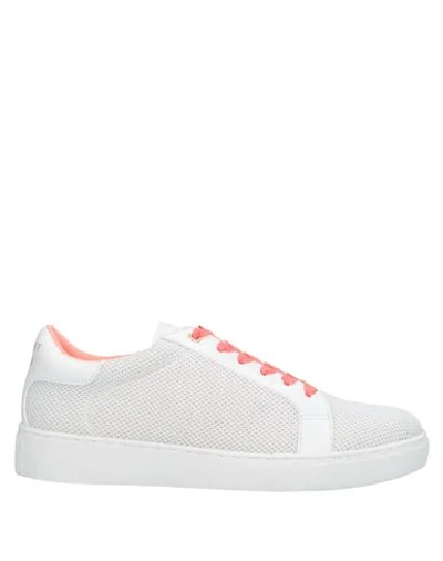 Twinset Sneakers In White | ModeSens
