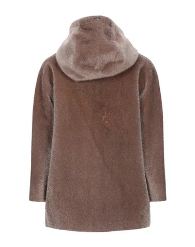 Shop Herno Woman Coat Brown Size 10 Polyamide, Polyester, Cotton, Acetate