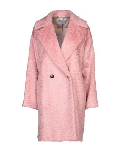 Shop Marella Coat In Pink