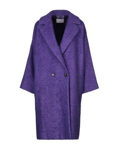 Shop Marella Coats In Purple
