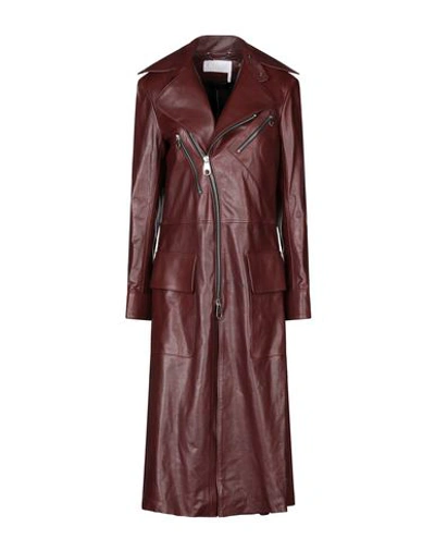 Shop Chloé Woman Coat Cocoa Size 6 Lambskin In Brown