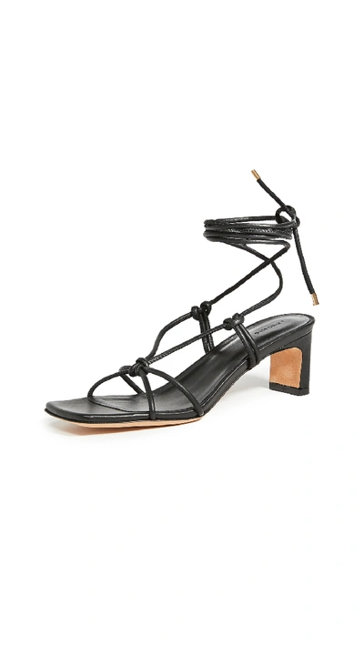 Shop Anine Bing Graham Sandals In Black