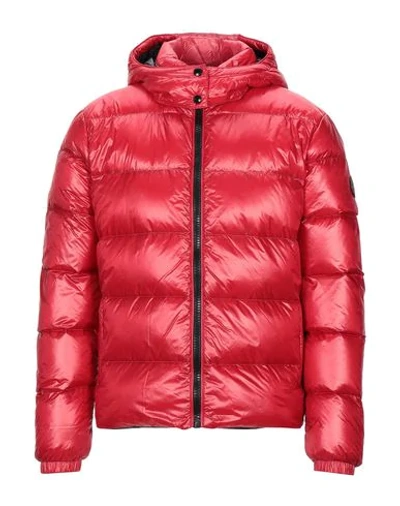 Shop Museum Down Jackets In Red