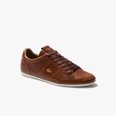 Men's Leather Sneakers - In Tan/gold |