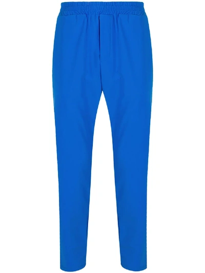 Shop Hydrogen Elasticated-waistband Tapered Trousers In Blue