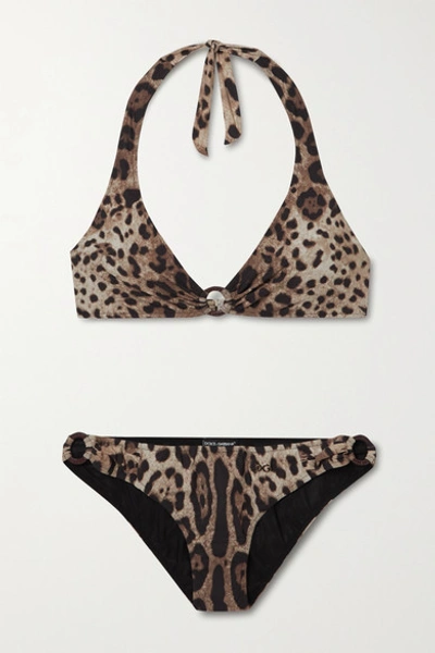 Shop Dolce & Gabbana Anelli Leopard-print Halterneck Bikini In Leopard Print