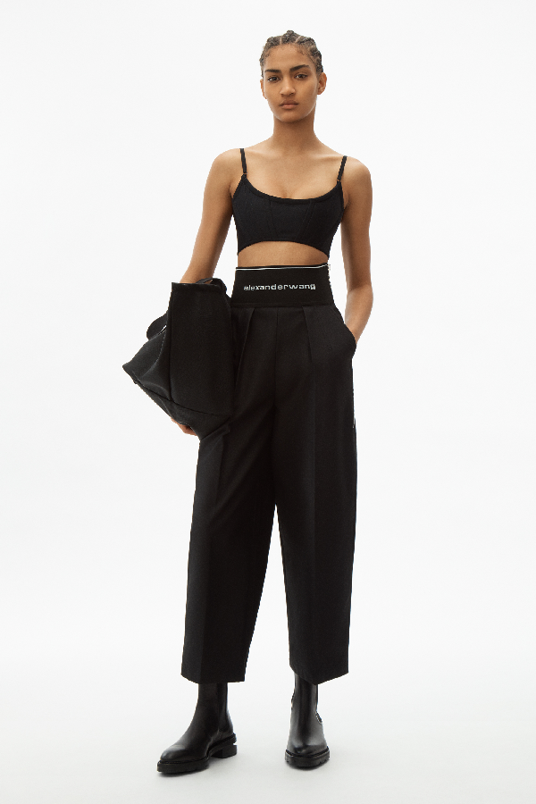 Alexander Wang Carrot Pants W/exposed Zipper And Logo Elastic In 001 ...