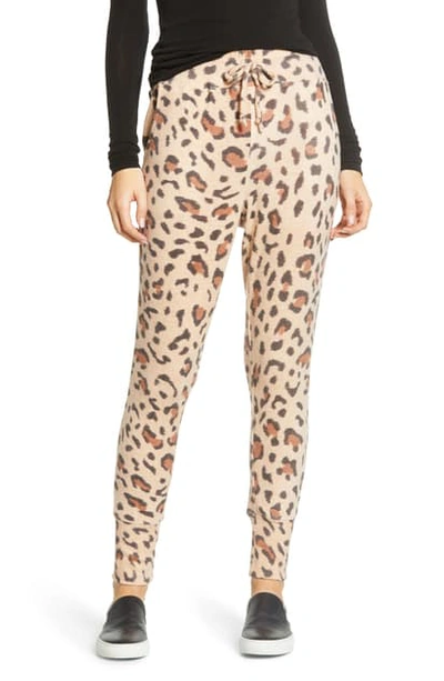 Shop Bobeau Cozy Jogger Pants In Leopard Tan