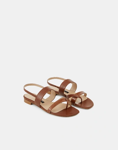 Shop Lafayette 148 Nappa Leather Selene Sandal In Brown