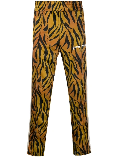 Shop Palm Angels Tiger Print Track Pants In Brown