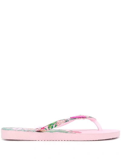 Shop Havaianas Floral Open-toe Flip Flops In Pink