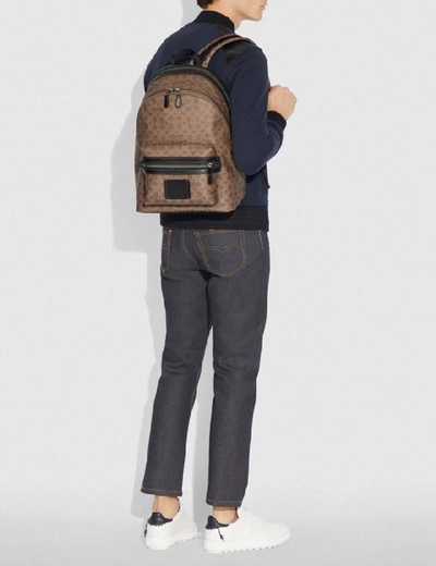 Shop Coach Academy Backpack In Signature Canvas - Men's In Khaki/black Copper