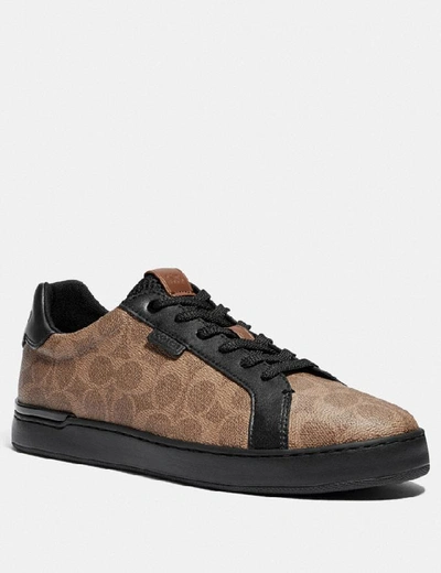 Shop Coach Lowline Low Top Sneaker In Khaki/black